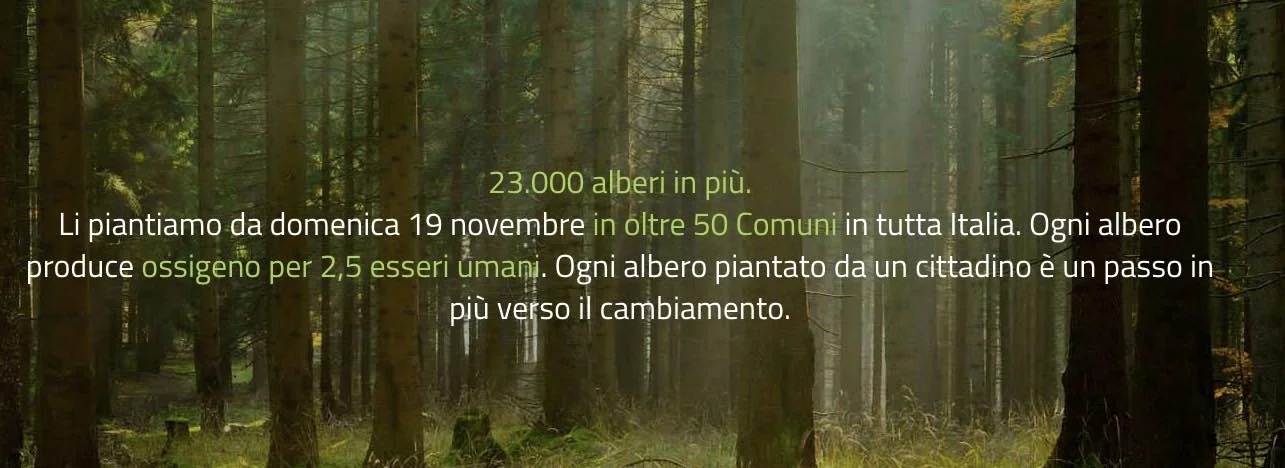23.661 nuovi alberi per il futuro