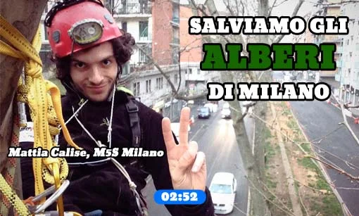 Salviamo gli alberi di Milano! #573alberi