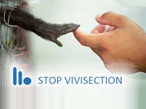 #StopVivisection: 1.173.131 firme!