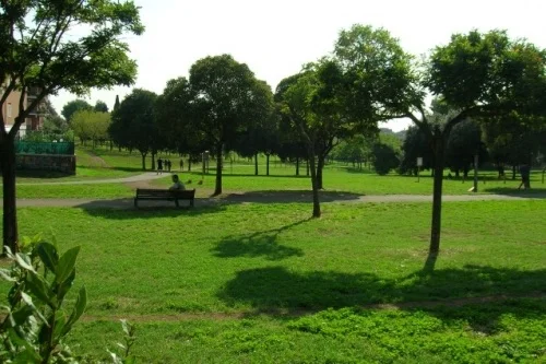 Alberi di vita per Milano e la Lombardia