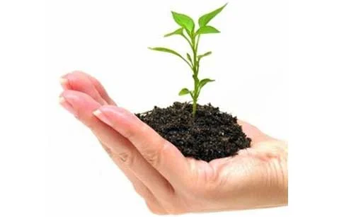 Sondaggio sulle misure urgenti per le piccole e medie imprese