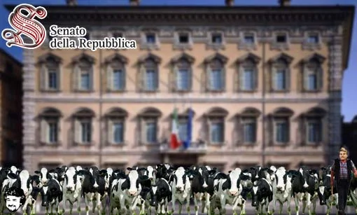 Il mercato delle vacche del pd