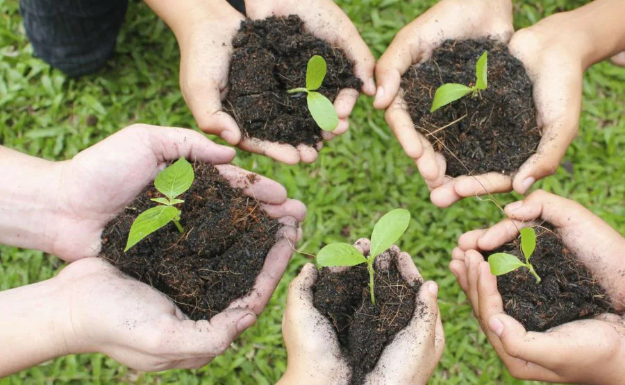 Ambiente e futuro: le nostre proposte