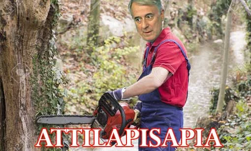 Pisapippa avvelena anche te, digli di smettere. #AttilaPisapia