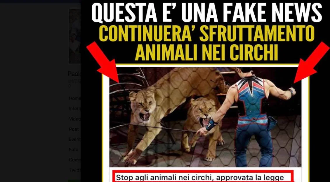 Nessuno stop agli animali nei circhi