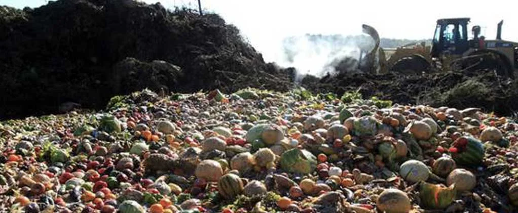 Sprechi alimentari: una legge non basta