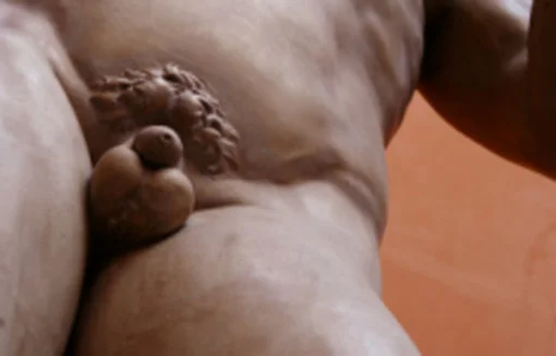 Il comune senso del pudore