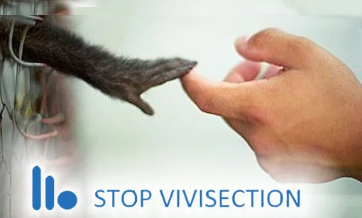 Passaparola - Fermiamo la vivisezione - di Jeremy Rifkin #StopVivisection