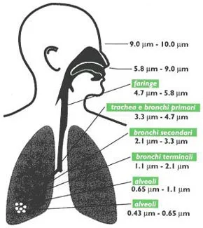 Gli amministratori del PM10