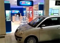 La coppia modello