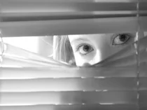 Stalker a piede libero