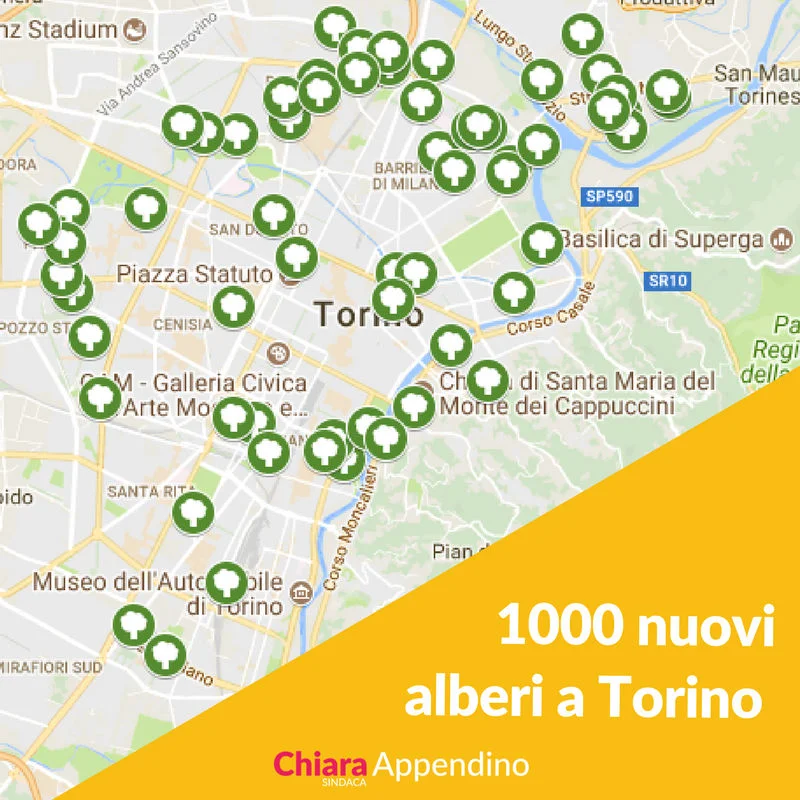 Oltre mille nuovi alberi a Torino