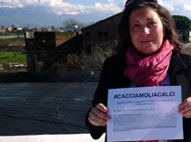 #CacciamoliACalci