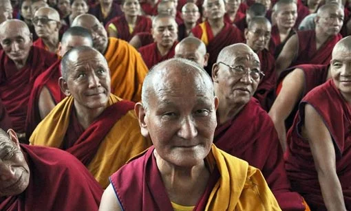 360 Buddha viventi on line