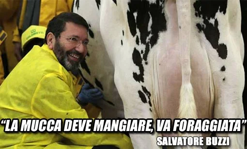 Marino munge l'ultima vacca rimasta #Marinovattene