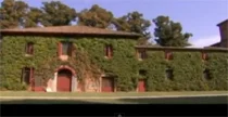 Terra Madre