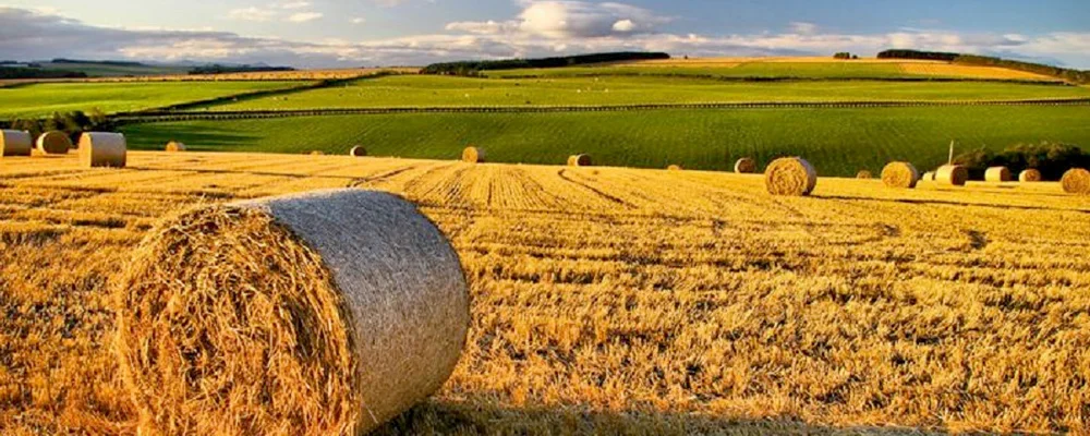 Il #ProgrammaAgricoltura del MoVimento 5 Stelle