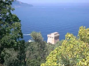 Satelliti e torri saracene