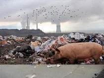 La gestione criminale delle discariche romane #mafiacapitale
