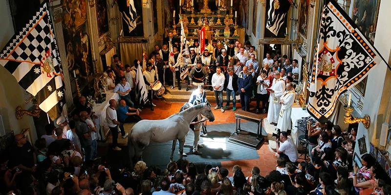 La tutela del palio di Siena e dei suoi cavalli