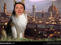 Torna a casa Renzie!