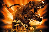 I Grandi Predatori