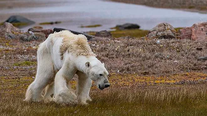 Le istituzioni europee sotterranno l'accordo di Parigi sul clima