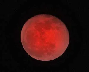 Il canone di Luna Rossa