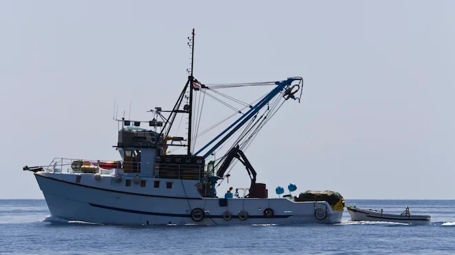 L'Europa vuole ridurre le quote pesca nell'Adriatico: noi stiamo con i pescatori