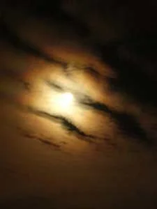 La notte della Repubblica