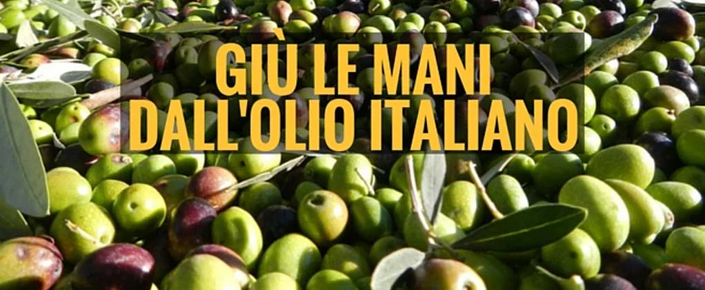 Il MoVimento 5 Stelle salva l'olio italiano