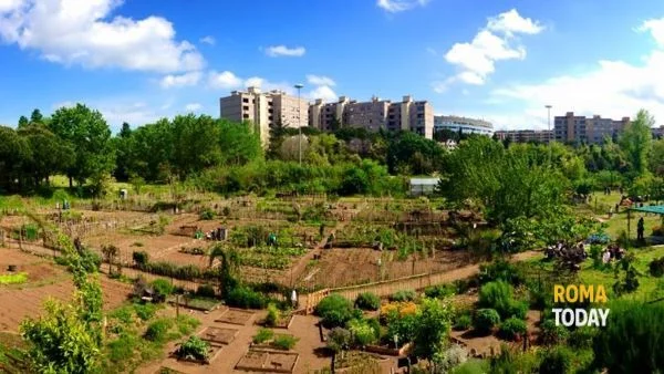#BuoneNotizieRoma: 107 nuovi orti urbani in città!