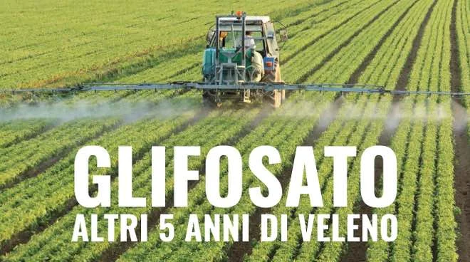 Altri 5 anni di avvelenamento da glifosato