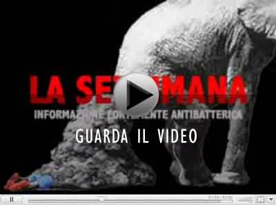 La Settimana e Mina