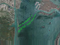 La laguna di Venezia ha bisogno di te!