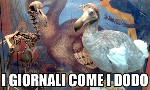 Sondaggio sui #DodoGiornali