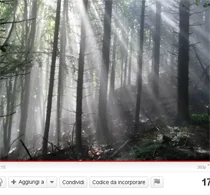 L'anno che verrà