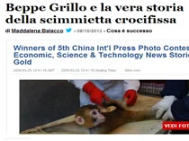 Gli asini di Giornalettismo