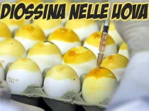 Diossina nelle uova: il M5S pubblica i dati