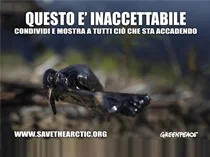 #SaveTheArctic