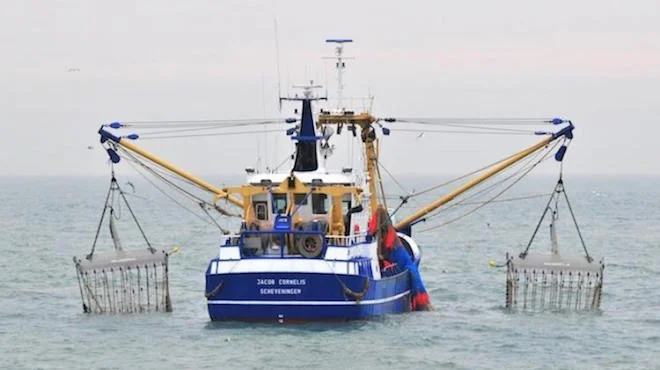 La Commissione ci riprova: vietiamo la pesca elettrica in tutta Europa