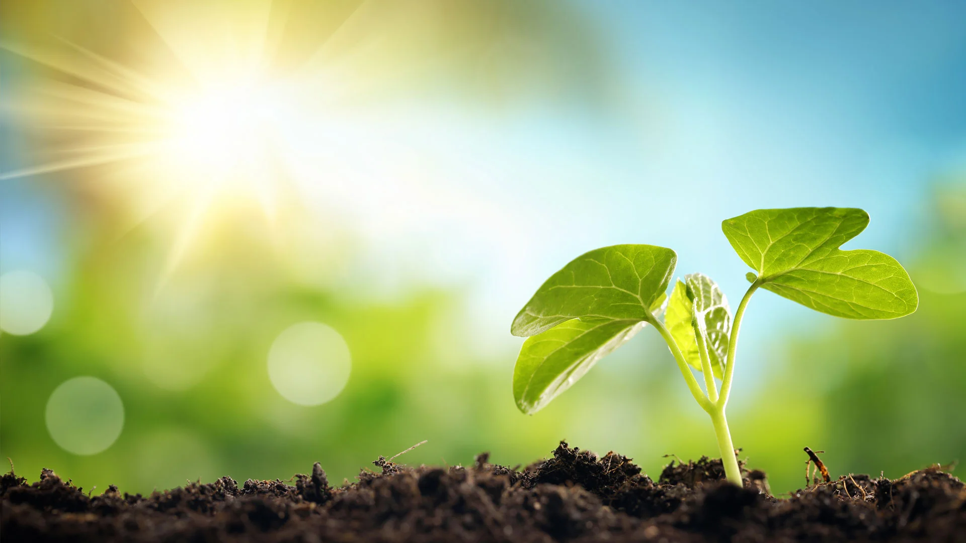 No Austerità, più ambiente, più salute, più lavoro