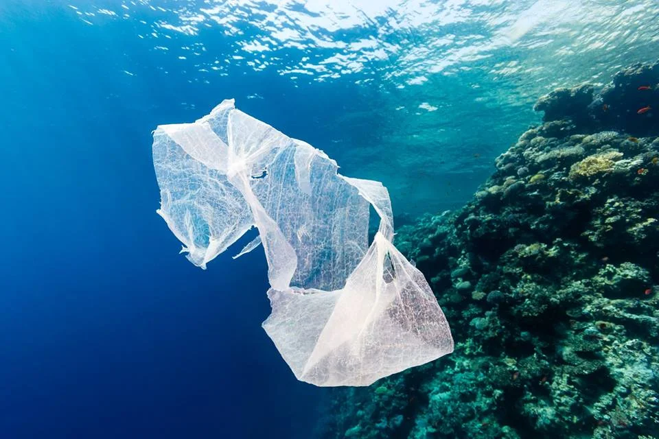 Biodegradabili, sequestrate 8 tonnellate di buste con etichetta falsa