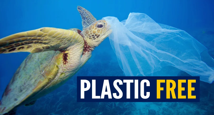 Dalle reti nei fiumi alle bollicine, la guerra alla plastica è senza confini