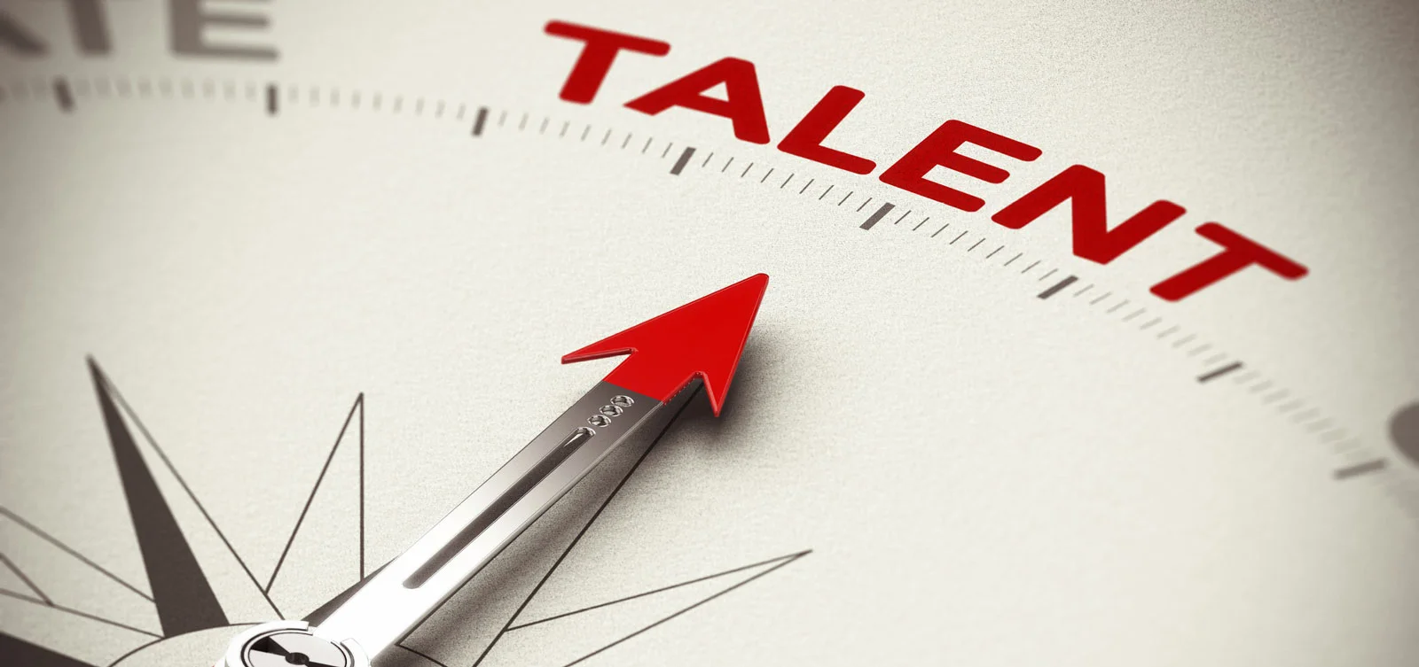 Nasce il portale dei talenti