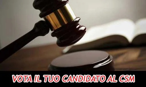 Consultazione online: i membri del CSM - Risultati
