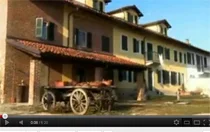 L'amore in mezzo ai campi