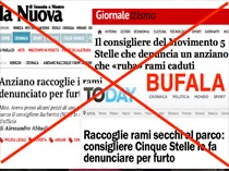 La bufala sul consigliere M5S che denuncia il furto di rami nel parco