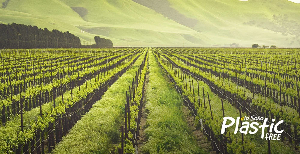 Verso un'agricoltura plastic free