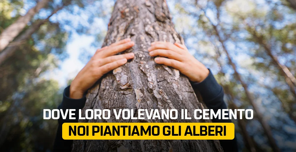 Ai Castelli romani piantiamo alberi dove altri volevano cementificare
